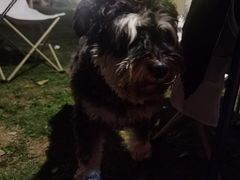 -不觉晓CAMPING(上海迪士尼营地店)