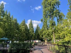 -黄海国家森林公园