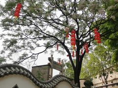 -广州神农草堂中医药博物馆