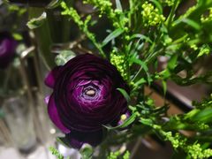 -双季花艺园艺市场(浦东店)
