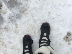 -北海道厅旧本厅舍(旧本庁舎)