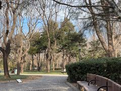 -玲珑塔公园