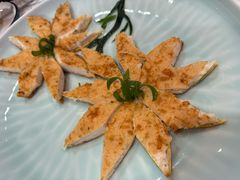 -丁老爷子苏香圆