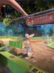 -未来动物城动物主题公园(大悦城店)