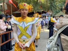 -西双版纳原始森林公园