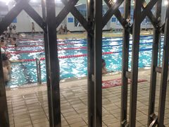 -金银湖市民文体活动中心恒温游泳馆