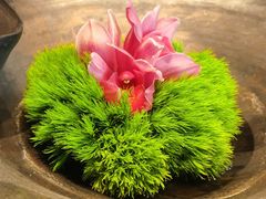 -子福慧(虹桥店)