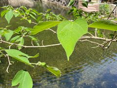 -西安祥峪森林公园