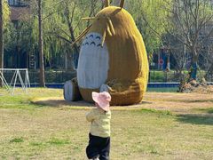 -长兴太湖图影湿地文化园
