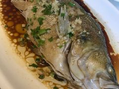 -看见远方·莫干遥远的山民宿