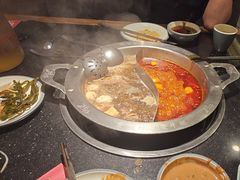 -井格重庆火锅(西直门凯德Mall店)