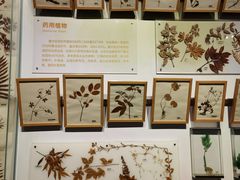-重庆自然博物馆(新馆)