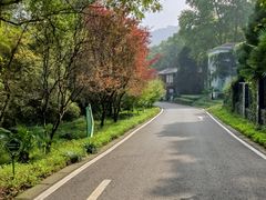 -南京老山国家森林公园