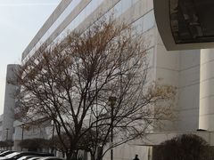 -天津水晶宫饭店