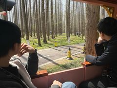 -黄海国家森林公园