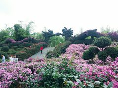 -东南花都花博园