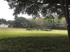 -广州雕塑公园
