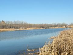 -马家湾湿地公园