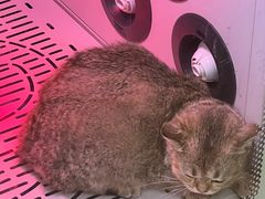 -沐沐家宠物(成寿寺店)