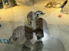 -洛阳龙门海洋馆
