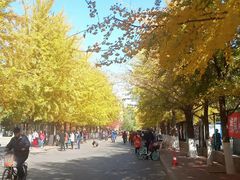 -辽宁大学(崇山校区)
