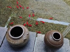 -几荷·恰似故人来(秀水广场店)