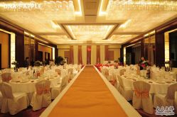 -DNA Wedding 婚礼记(上海店)