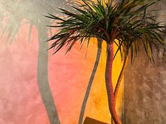 -mordew加州日记西餐&小酒馆(新天地店)