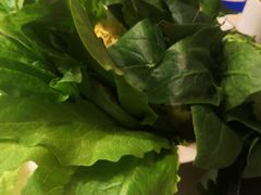 -快乐小羊(富强中路店)