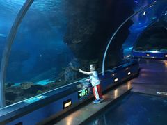 -石家庄海洋公园
