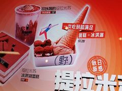 -野人先生现做冰淇淋(北京环宇荟店)