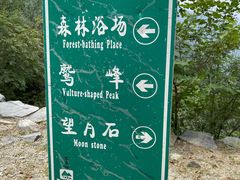 -北京鹫峰国家森林公园