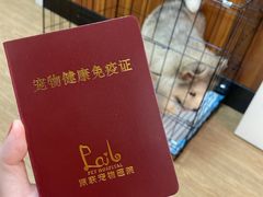 -派联宠物医院·24h·CT·异宠