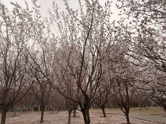 -太阳宫公园