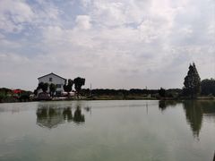 -水岸居湖景农家乐·阳澄湖大闸蟹