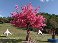 -吉林市朱雀山国家森林公园