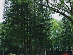 -人民公园(罗湖区)