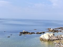-养马岛旅游度假区