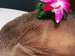 -犇鼎牛潮汕牛肉火锅(新辰里学清路店)