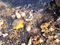 -长兴岛海滨公园