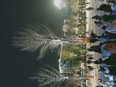 -北湖公园