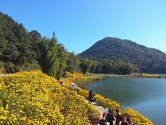 -广州市石门国家森林公园