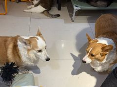 -平行世界·猫咖(首经贸店)