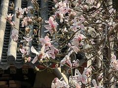 -颐和园