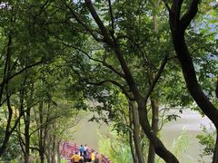 -黄埔油麻山森林公园