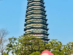 -红梅公园
