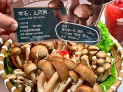 -芸山季·云南山珍菌火锅(人民广场来福士店)