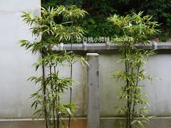 -京湯どうふ喜さ起