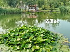 -前关湿地公园
