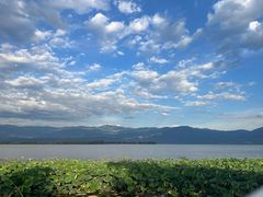 -西昌邛海湿地